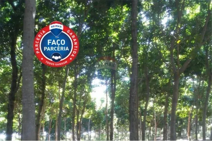 Lotes de 5 hectares com plantação de mogno africano a ser negociado a parte , há mais de 1
