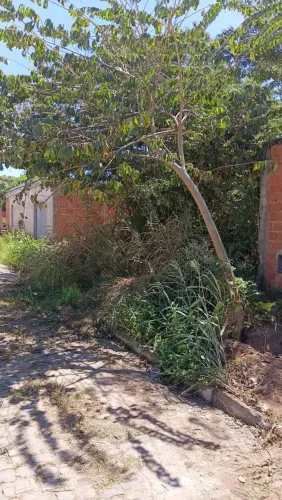 Terrenos