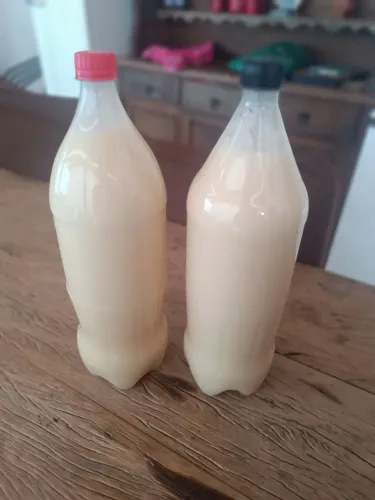 Banha de porco caipira