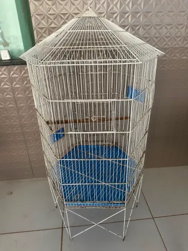 Gaiola/viveiro para calopsita/periquito/agapornis/ring neck 1x75 (São Luís MA)