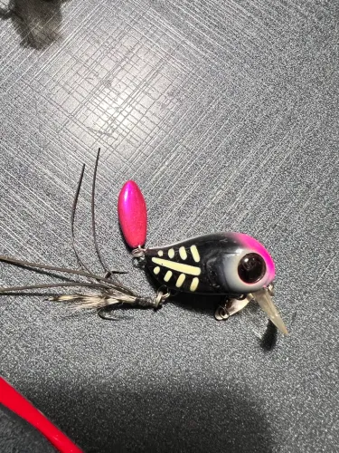 Kit isca micro