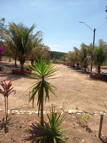 Vendo chácara em piramboia distrito amhembi , próximo Botucatu, conchas, Piracicaba