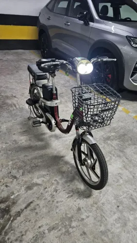 Lev E-bike (bateria Lítio nova)