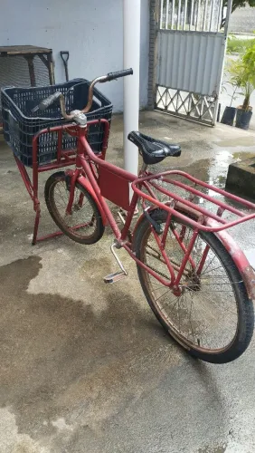 Bicicleta de carga