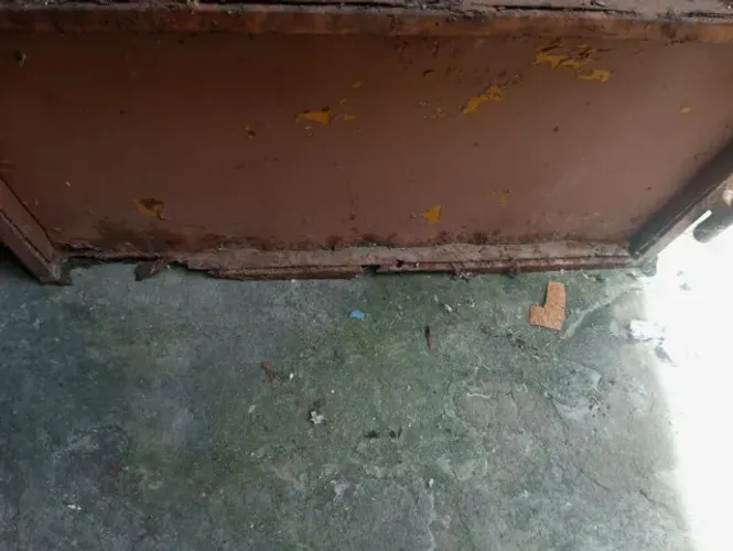 Portão social