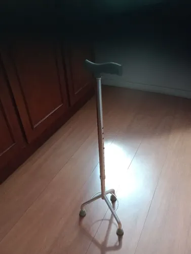 Bengala nova 