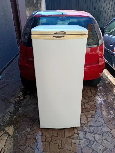 Freezer Electrolux vertical 110v