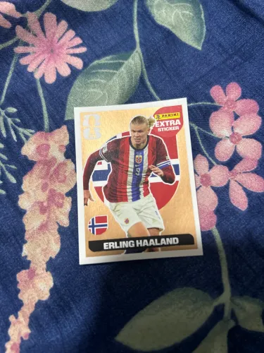 FIGURINHA LEGEND BRONZE HALAND