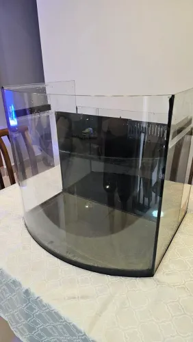 AQUÁRIO COM VIDRO CURVO E SUMP TRASEIRO