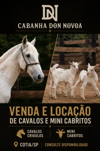 Locação de Cavalos e Mini Cabrinhas