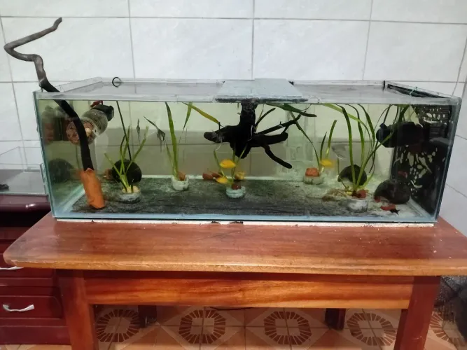 Aquário