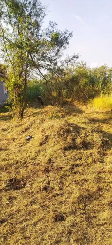 Vendo terreno em santa cruz jesuítas
