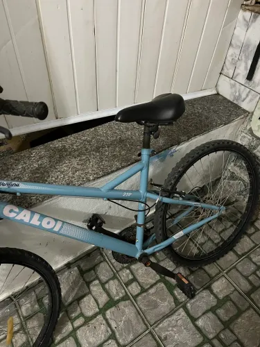 Bicicleta feminina