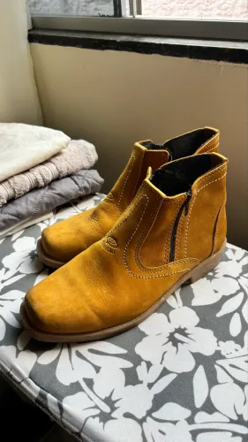 Bota