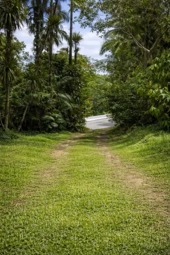 Chacara em Antonina/PR - 45.119 m² - De frente p/ asfalto/ com internet