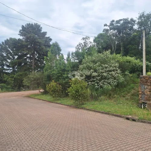 Terreno com 386,24 m2 na serra gaúcha a venda por R$ 270.000,00.