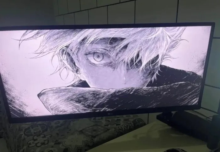 Monitor LG 29 polegadas