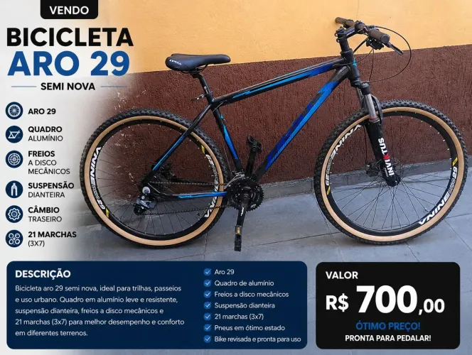 Bicicleta aro 29 