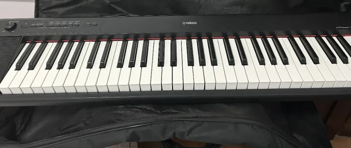 Teclado Musical Preto Yamaha Piaggero Np-12