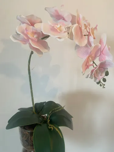 Arranjo de orquídeas luxo grande.