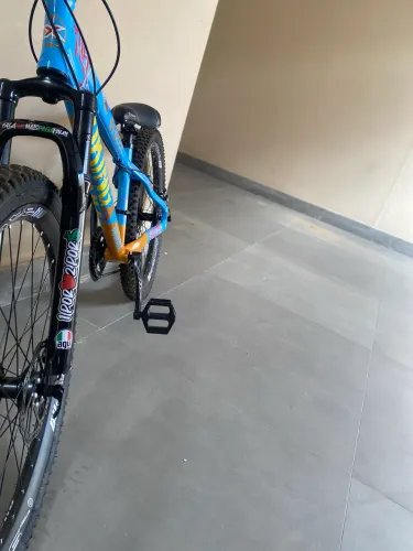 Bicicleta