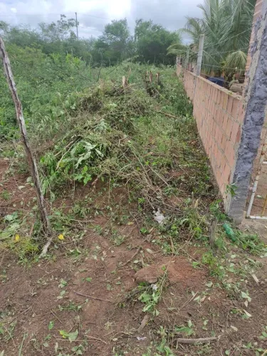 Terreno a vista