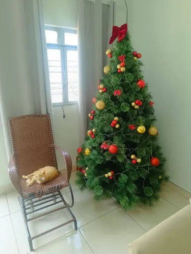 Árvore de Natal Pinheiro