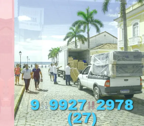 Frete ou mudança? Precisando de transporte rápido e seguro? Entre em contato!