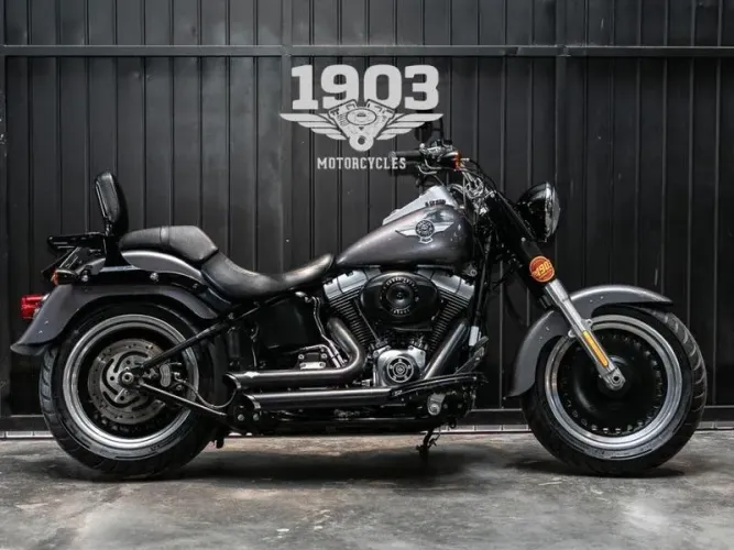 HARLEY-DAVIDSON FAT BOY SPECIAL 2015