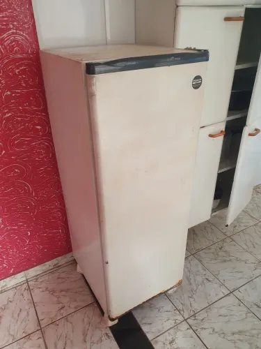 Frizer consul