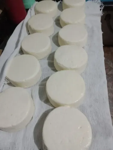 queijo fresco 