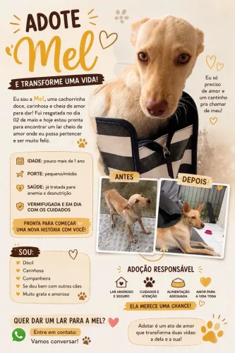 ADOÇÃO