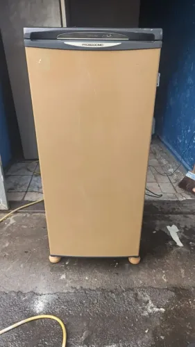 VENDO ESTE FREEZER VERTICAL