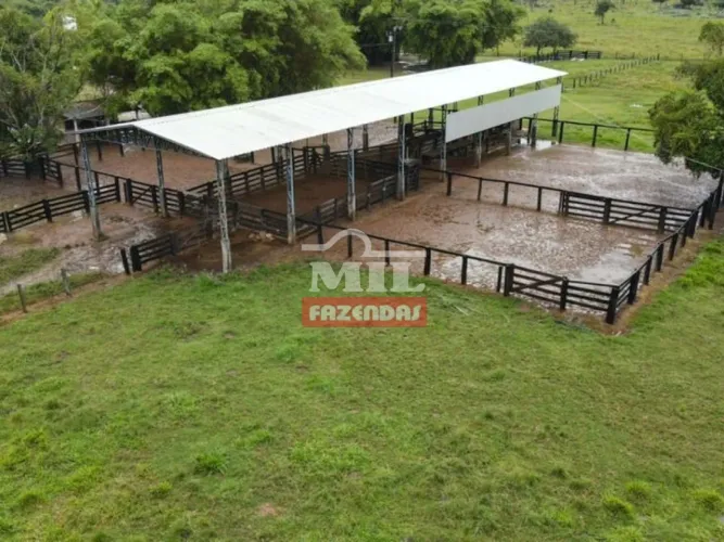 Fazenda extra 382 alqueires (1.850 hectares) Sul do Pará.