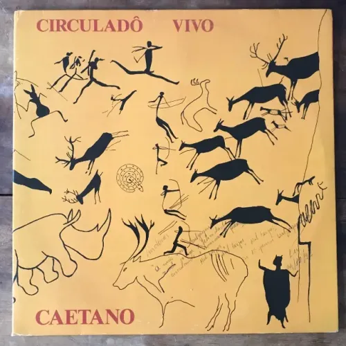 Discos de vinil/Lp Caetano Veloso (Lista na descrição)