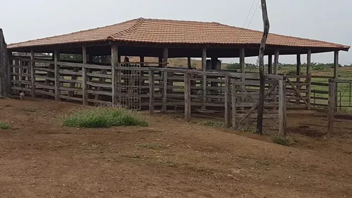 Fazendinha Com Estrutura Pra Gado De Leite...Area 97 Hectares....Proximo Janauba...