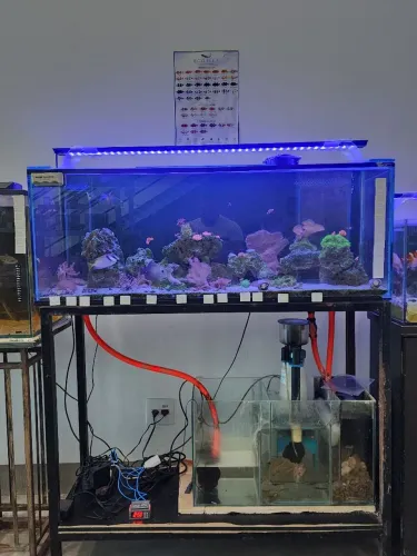 Aquário Marinho Completo