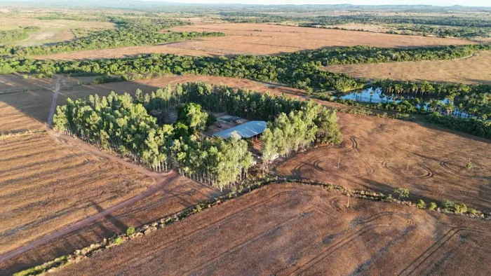Fazenda com divida no BB. 205 alq. Em dois irmãos TO. R$:26.650.000