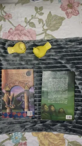 Livros Harry Potter(Capa antiga)