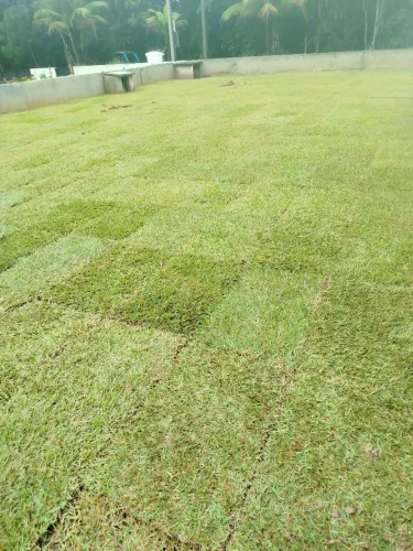 Grama de qualidade para o seu jardim.