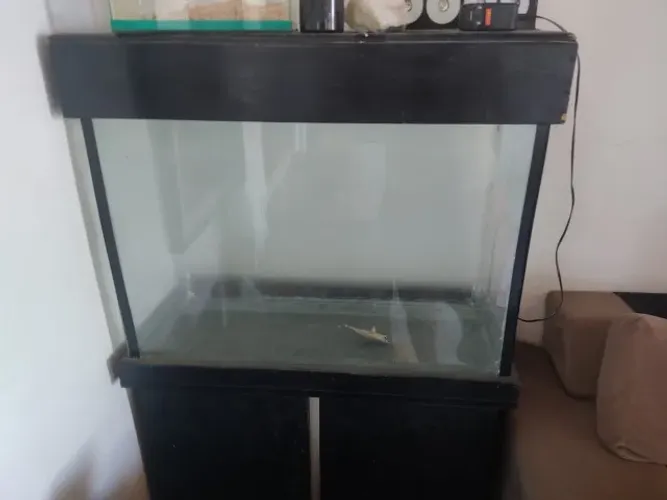 Aquário para Peixes c/ Móvel