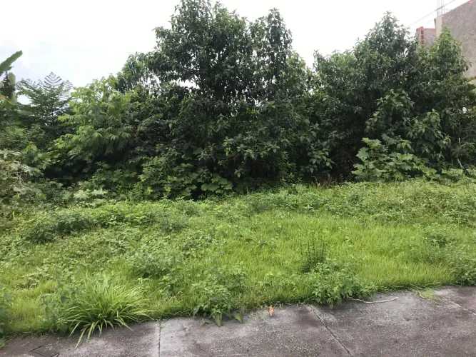 MEDITERRANEO Alto Padrão 800m2 lote plano