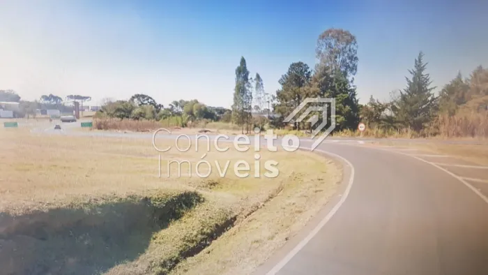 Terreno Comercial no Trevo BR 373 - Saída para BR 376