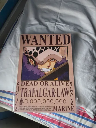 Quadro One Piece Trafalgar Law