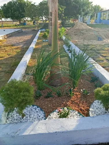 Jardinagem, manutenção 