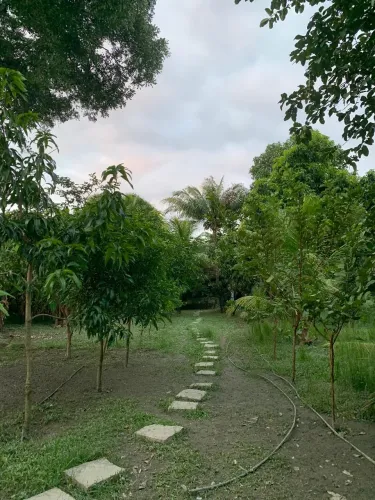 Sítio com 5.000 m² e  RGI