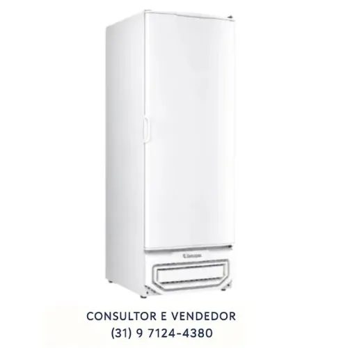 Congelador Vertical Porta Cega 560L Gelopar