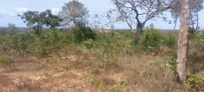Chácara 1.500 m2 em São João da Lagoa