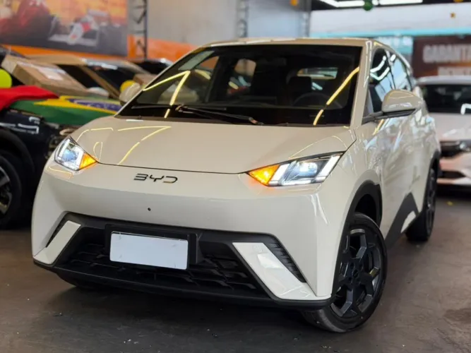 BYD Dolphin Mini (Elétrico) 2027