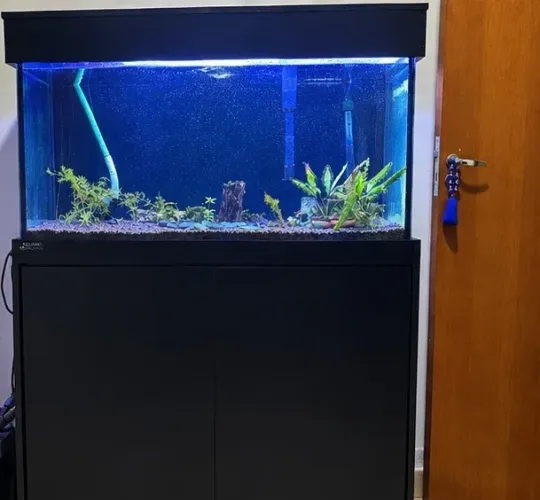 Aquário Completo 200lts